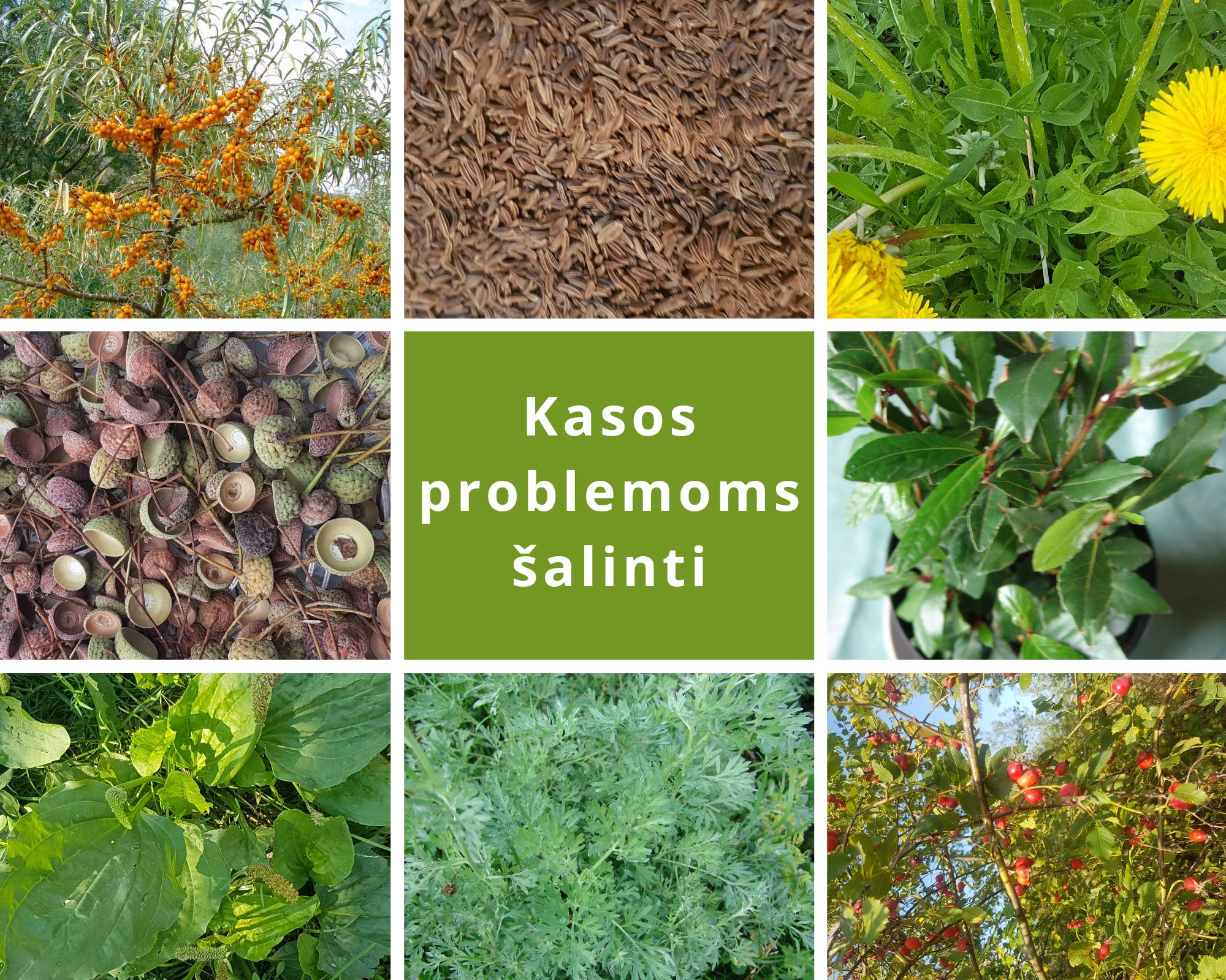 Liaudies patarimaikaip pašalinti kasos problemas