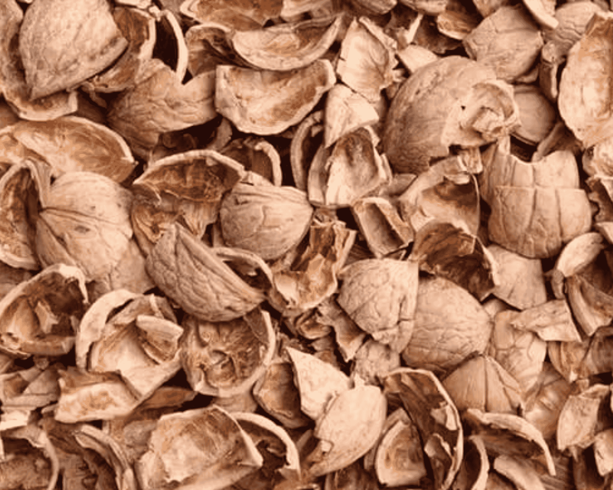 Graikinio riešuto kevalas